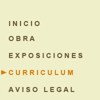 curriculum