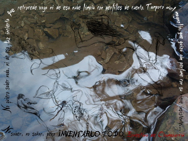 cartel-poema